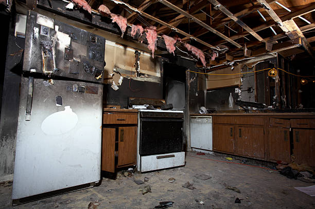 Licensed Structural Rebuild service in Ellenton, FL - Fire Damage Laser Cleaning